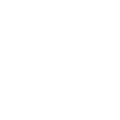  Gefahrgutaufkleber Klasse 2.3 TOXIC GAS mit Eindruck - 300 x 300 mm